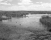 Flooded Landscape with Trees