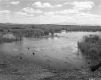 Flooded Landscape Near North Ave