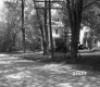Dwelling with Trees