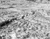 View of Mud Slides