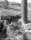 Wooden Pole with Eroded Area