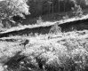 Eroded Landscape with Trees