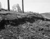 Tire Tracks in Soil and Landscape