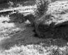 Fractured Landscape