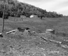 Dwelling and Field
