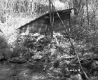 Spring Hole