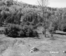Field and Forest on Hill