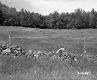 Field and Forest with Stone Wall and Fence