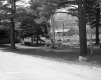 Two Buildings with Trees and Road
