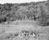 Field with Utility Tower and Forest Area