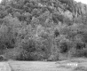 Field and Hill Covered in Trees