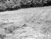 Field with Forest Near Frontage Road