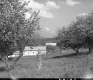 Scenic View of Farm Buildings on Landscape