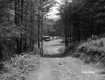 Dirt Road Leads to Area of Automobiles and Materials