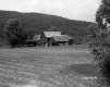 Group of Barn Structures on Parcel #20