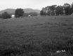 Vast Field with Building and Trees