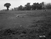 Field with Wooden Obstacles