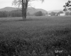 View of Landscape with Buildings in Distance