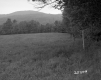 Field with Fence and Trees