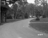 Two Buildings on Road with Trees