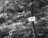 Hunting Prohibited Sign in Forest Area