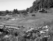 Wooden Piles on Meadow