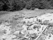 Field with Sand and Piles of Wooden Planks