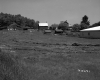 Dwelling and Various Buildings and Meadow