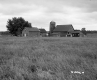 Group of Farm Buildings Next to Meadow with Tall Grass