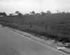 Farm Buildings with Pasture and Paved Road