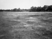 Field and Forest