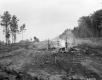 Construction Site with Machinery and Trees