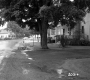 House with Tree Next to Road