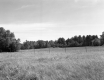 View of Junkyard with Field and Fence