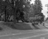 Dwelling Next to Paved Road with Tall Trees