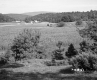 Appleton Property East-Southeast View Field