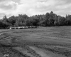 After Junkyards Cars Left Side