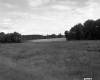 After Junkyards Meadow with Fence