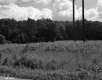 After Junkyards Power Lines Center Right