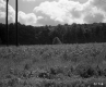 After Junkyards Power Lines Left
