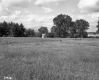 After Junkyards Building Background
