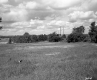 After Junkyards Meadow with Power Lines