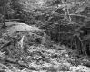 George and Edmands Property Rock Outcropping on Route 5 in Fairlee
