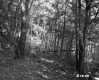 Aldrich Property Forestland on Route 5 in Fairlee