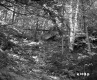 Aldrich Property Forestland on Route 5 in Fairlee