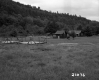 Aloha Manor Tent Platforms and Cabins on Lake Morey in Fairlee