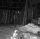 Hall Property Shed Interior on Route 4 in Castleton