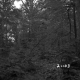 Delehanty Property Forestland on Route 4 in Castleton