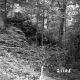 Delehanty Property Forestland on Route 4 in Castleton