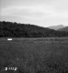 Shepard Property on Route 4 in Castleton